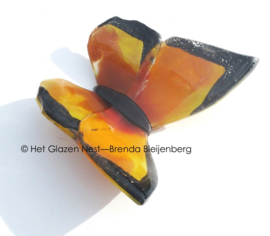 Glazen vlinder met zwarte randen