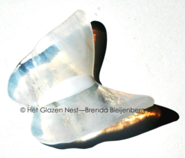 Kleine glazen vlinder in wolken wit