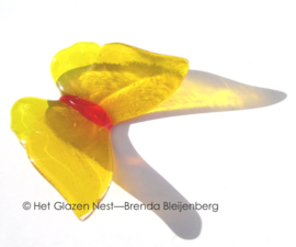 Grote gele vlinder in doorzichtig glas