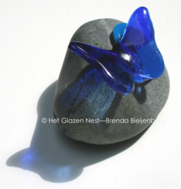 blauwe vlinder op blauw hartje