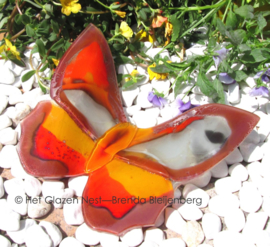 vlinder in oranje en lila kleuren