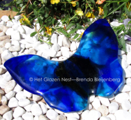 blauwe vlinder in transparant glas