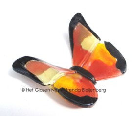 Bijzondere glazen vlinder