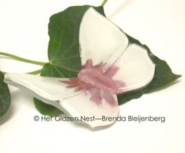 speels witte en roze vlinder