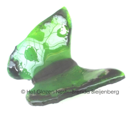 Glas groene vlinder met zware randen