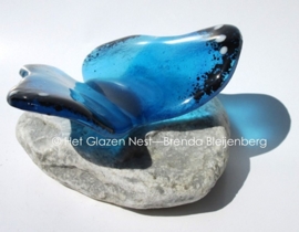 vlinder in aqua en zee blauw met zwarte rand