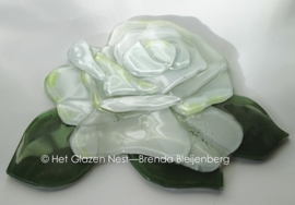 witte roos met ronde blaadjes als ornament