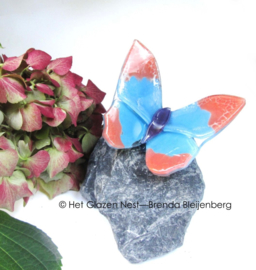 Roze en blauw vlindertje op grijze basalt