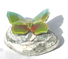 Kleine groen en oker vlinder op steentje