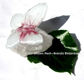 Witte vlinder met roze accenten op bergkristal