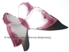 Grote witte vlinder met roze randen