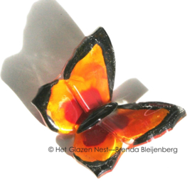 Vlindertje in oranje glas met zwarte randen