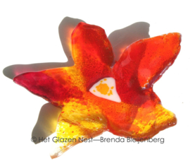 Speelse bloem in glas