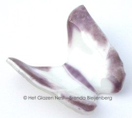 Witte vlinder met paarse randen