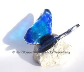 Speels blauwe vlinder in lichtdoorlatend glas