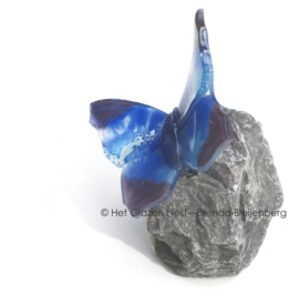Vlinder op basalt in paars en blauw