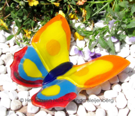grote vlinder in bonte kleuren