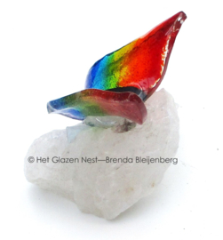 Regenboog vlinder in transparant glas