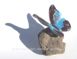 Vlinder in paars en vlinder op lavas