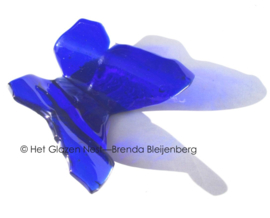 Kobalt blauwe vlinder in doorzichtig glas