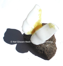 Witte vlinder met gele accenten