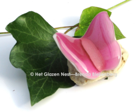 Kleine roze vlinder op steentje