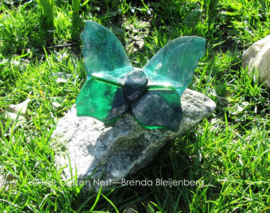 Groene vlinder  op ruwe steen