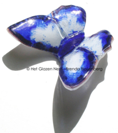 Wit en blauwe vlinder met zwarte randen