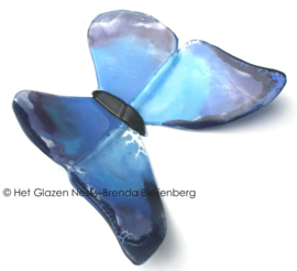 Grote glazen vlinder in blauw en lavendel
