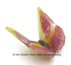Glazen vlinder met hoge vleugels