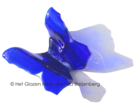 Kobalt blauwe vlinder in doorzichtig glas