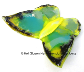 Groene vlinder met gele accenten