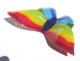 grote regenboog vlinder