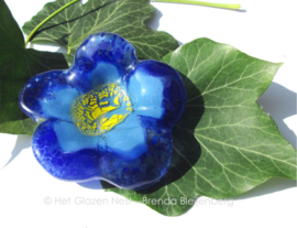 blauwe bloem met geel hartje