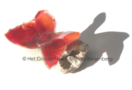 Rode glazen vlinder met spitse vleugels