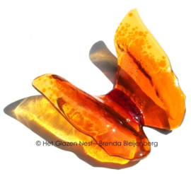 Oranje vlinder in doorzichtig glas