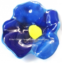 blauw bloemetje met geel hart