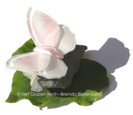 Wit en roze glazen vlinder op basalt