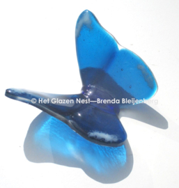 Vlinder in donker aqua glas