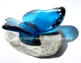 Grote aqua vlinder als mini-urn