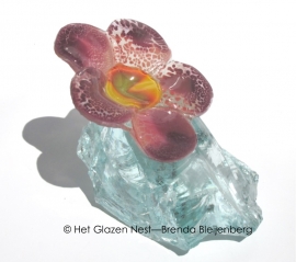 Bloem in prachtig opaal glas op een brok helder glas