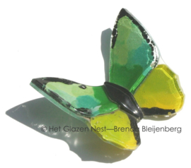 Glazen vlinder in abstract groene kleuren