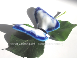 Witte vlinder met blauwe randen