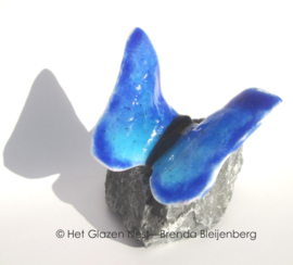 blauwe vlinder op basalt steen