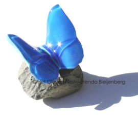 Glazen vlinder in rustig aqua blauw