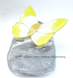 Geel en wit vlindertje op grijze kei