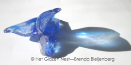 Kleine teerblauwe vlinder op glasbrok