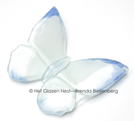 klein speels wit en blauw vlindertje
