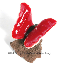 Rode glas vlinder op lavas steen