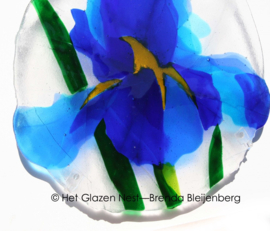 Blauwe Iris als glaskunst aan de muur